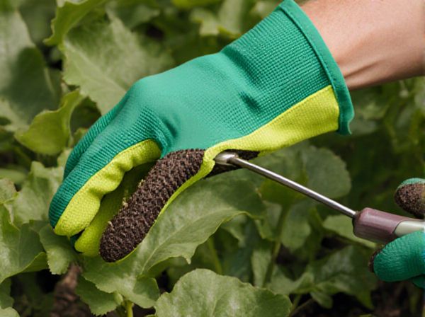 Cleft Grafting vs. Whip-and-Tongue Grafting: A Comparative Guide for Plant Propagation