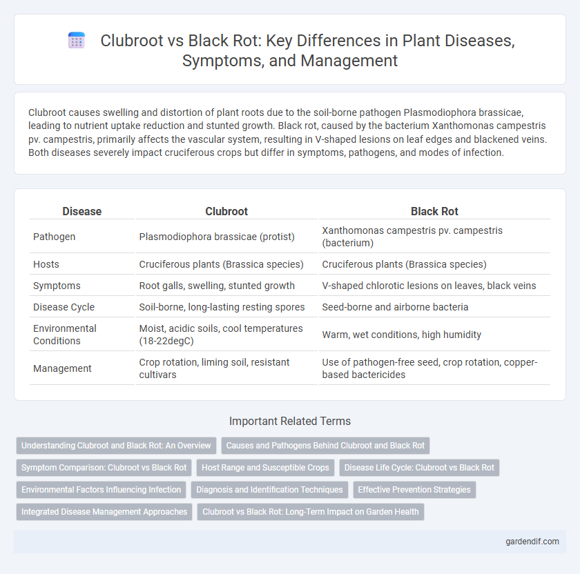 Clubroot vs Black Rot: Key Differences in Plant Diseases, Symptoms, and Management