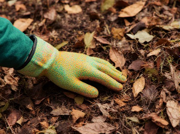 Coloured Mulch vs Natural Mulch: Which Mulch Option is Best for Your Garden?