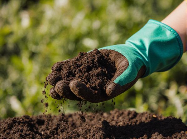 Compost vs. Vermicompost: Key Differences and Benefits for Soil Enrichment