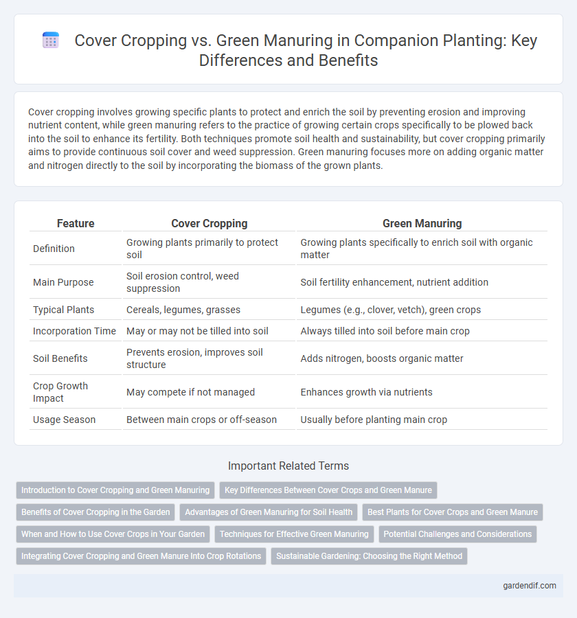 Cover Cropping vs. Green Manuring in Companion Planting: Key Differences and Benefits