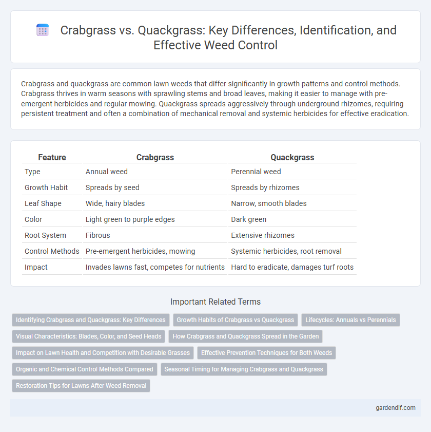 Crabgrass vs. Quackgrass: Key Differences, Identification, and Effective Weed Control