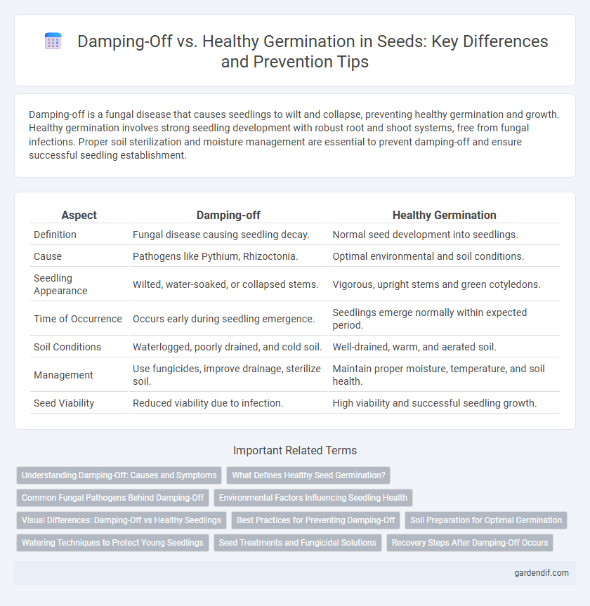 Damping-Off vs. Healthy Germination in Seeds: Key Differences and Prevention Tips
