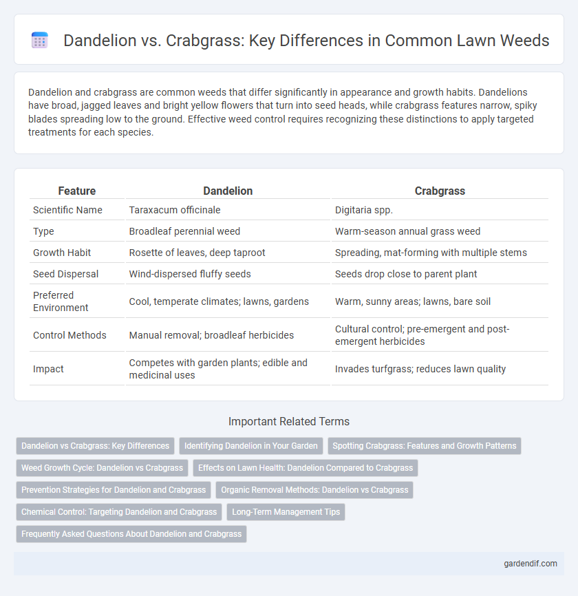 Dandelion vs. Crabgrass: Key Differences in Common Lawn Weeds