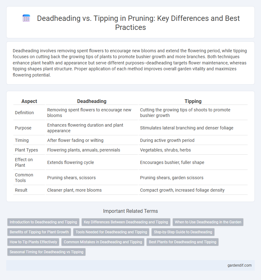 Deadheading vs. Tipping in Pruning: Key Differences and Best Practices
