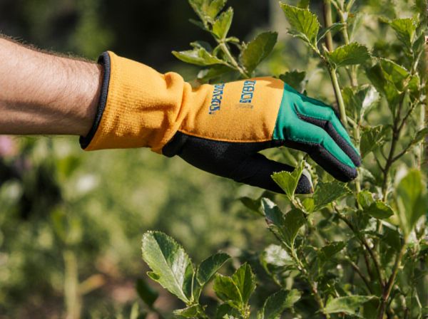 Deadheading vs. Tipping in Pruning: Key Differences and Best Practices