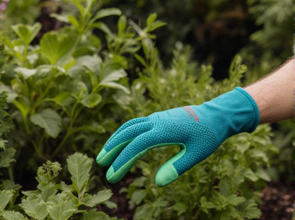 Deep Flow Technique vs. Flood and Drain: A Comprehensive Comparison for Hydroponic Systems