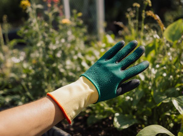 Deep Water Culture vs. Bubbleponics: Key Differences in Hydroponic Systems