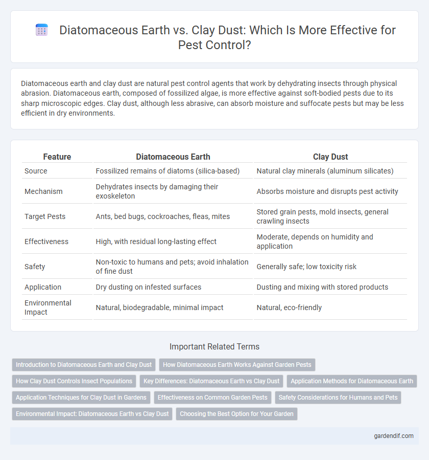 Diatomaceous Earth vs. Clay Dust: Which Is More Effective for Pest Control?