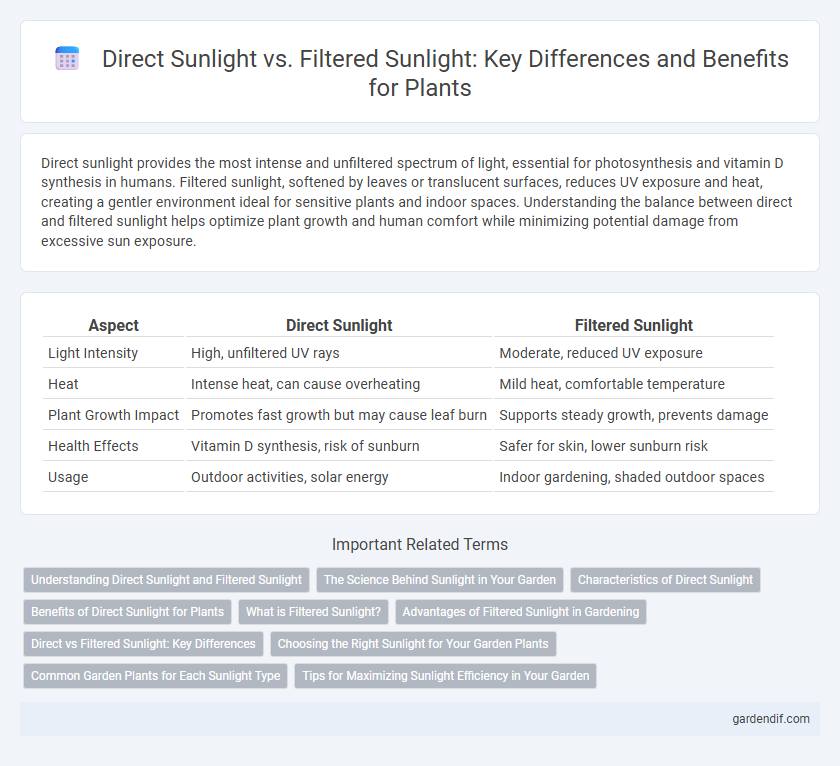 Direct Sunlight vs. Filtered Sunlight: Key Differences and Benefits for Plants