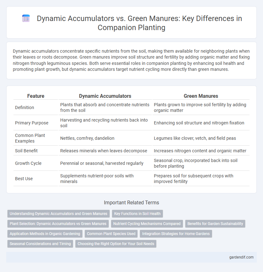 Dynamic Accumulators vs. Green Manures: Key Differences in Companion Planting