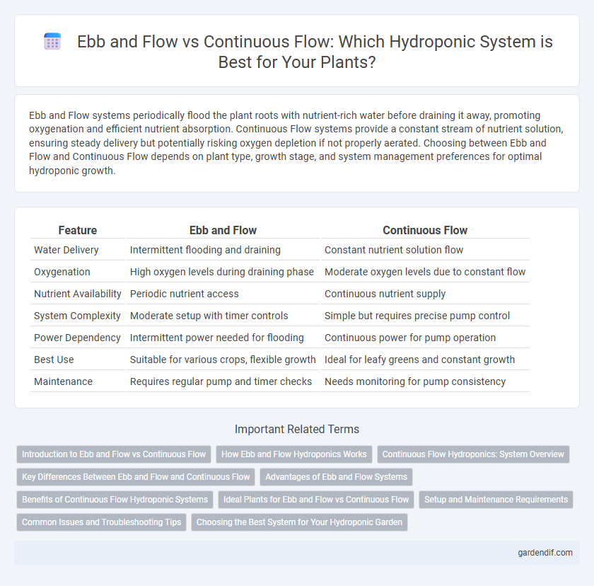 Ebb and Flow vs Continuous Flow: Which Hydroponic System is Best for Your Plants?