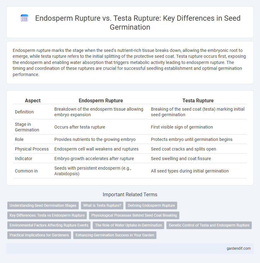 Endosperm Rupture vs. Testa Rupture: Key Differences in Seed Germination