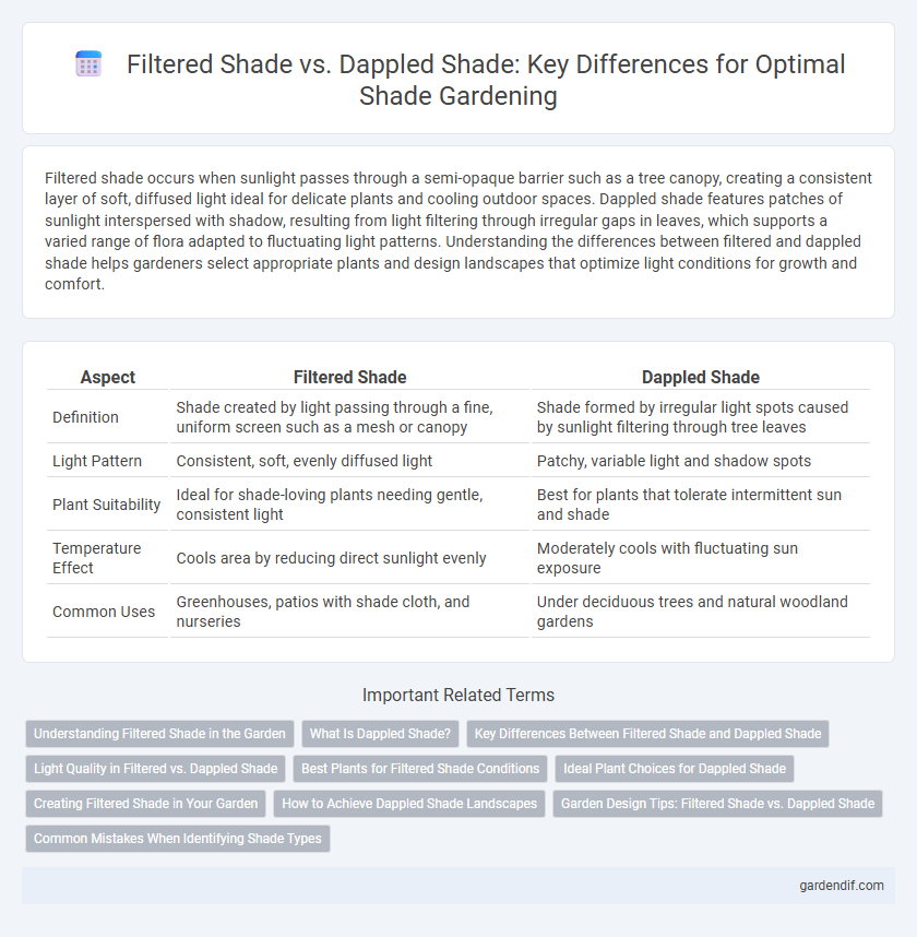 Filtered Shade vs. Dappled Shade: Key Differences for Optimal Shade Gardening