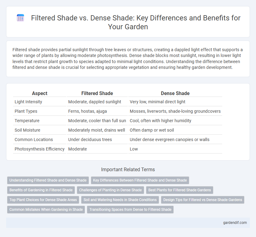 Filtered Shade vs. Dense Shade: Key Differences and Benefits for Your Garden