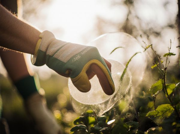 Filtered Sunlight vs. Dappled Sunlight: Understanding the Differences for Healthier Plants