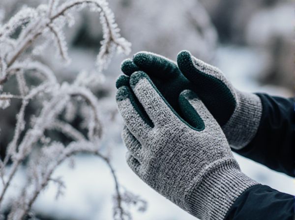 First Frost Date vs. Last Frost Date: Understanding Seasonal Changes and Gardening Success