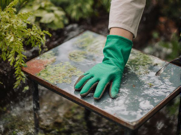 Flood Table vs Grow Tray: Key Differences in Hydroponic Systems
