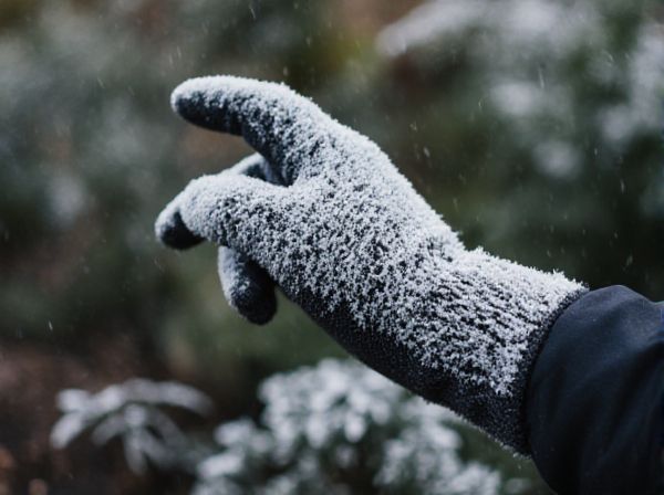 Frost Date vs. Last Frost Date: Key Differences and Climate Impact