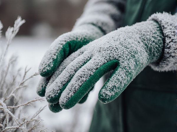 Frost Dates vs. Heat Waves: Understanding Seasonal Weather Extremes