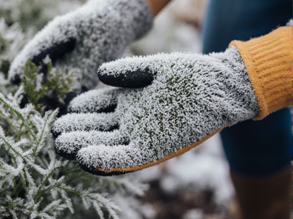 Frost Dates vs. Heat Zones: Understanding Seasonal Planting and Gardening Success