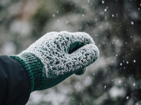 Frost Pocket vs Heat Island: Key Differences and Impacts on Local Climate