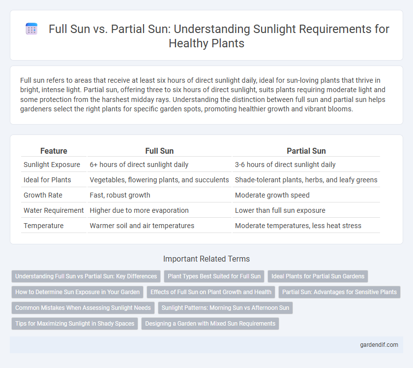 Full Sun vs. Partial Sun: Understanding Sunlight Requirements for Healthy Plants