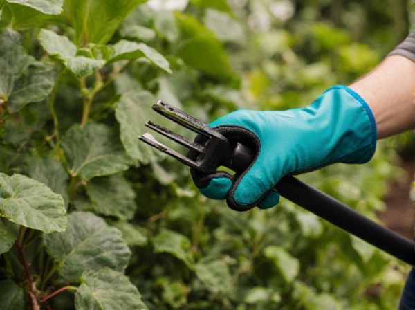 Garden Fork vs. Digging Spade: Which Tool Is Best for Your Gardening Needs?