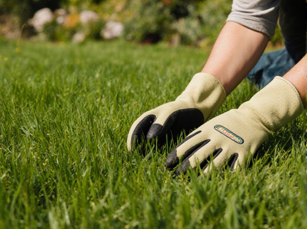 Grass Clippings vs. Leaf Mold: Which Is Better for Composting?