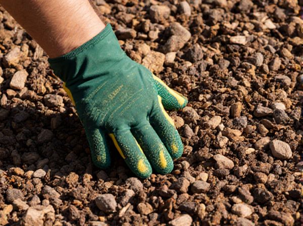 Gravel Mulch vs. Stone Mulch: Key Differences, Benefits, and Best Uses in Landscaping