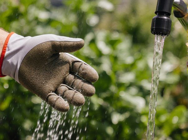 Greywater vs Freshwater: Which Is Better for Watering Your Garden?