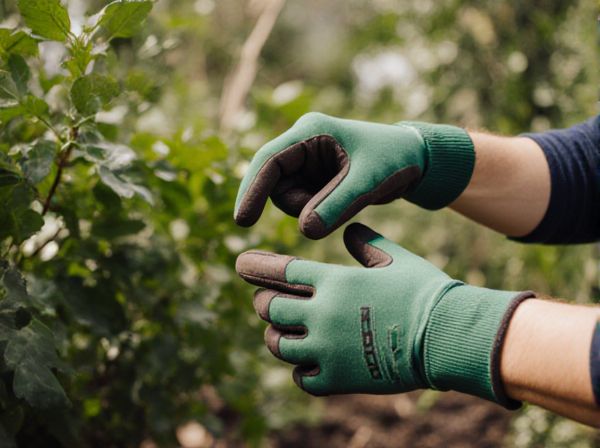 Hand Picking vs. Mechanical Harvesting: Which Method Is Best for Your Harvest?