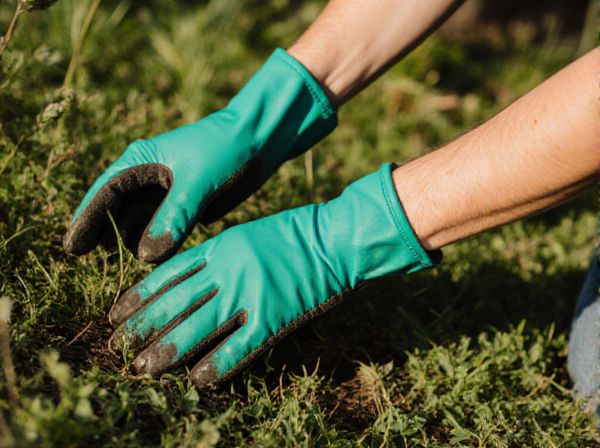 Hand Weeding vs. Hoeing: Which Weed Control Method Is More Effective?