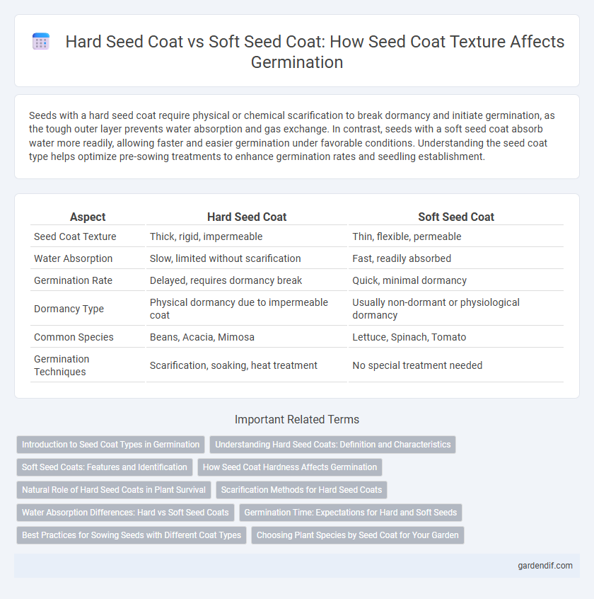 Hard Seed Coat vs Soft Seed Coat: How Seed Coat Texture Affects Germination