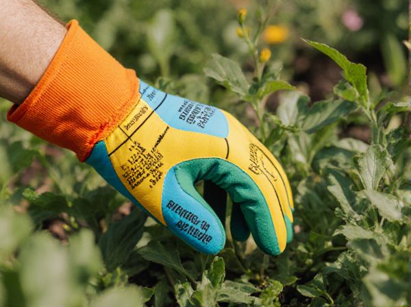 Hardiness Zone vs. Sunset Zone: Key Differences in Climate Classification