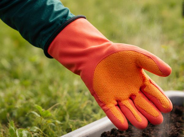 Heat Zone vs. Hardiness Zone: Understanding Their Roles in Climate and Gardening