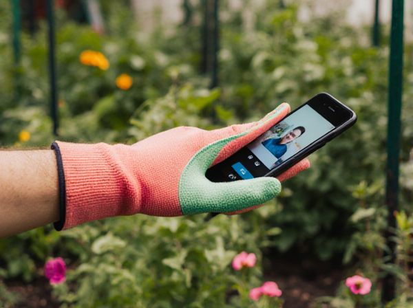 Hoop House vs Glasshouse: Key Differences and Benefits for Greenhouse Gardening