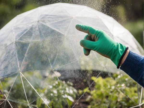 Humidity Dome vs. Ventilated Greenhouse: Which Is Better for Climate Control?