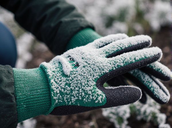Last Frost Date vs. First Frost Date: Understanding Key Seasonal Differences
