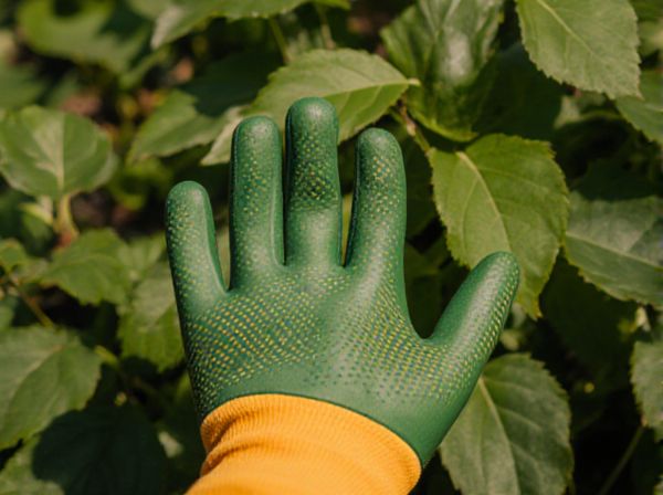 Leaf Cuttings vs. Bud Cuttings in Plant Propagation: Key Differences and Best Practices