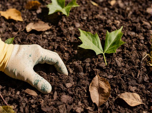 Leaf Mulch vs. Compost Mulch: Which Mulch Is Best for Your Garden?