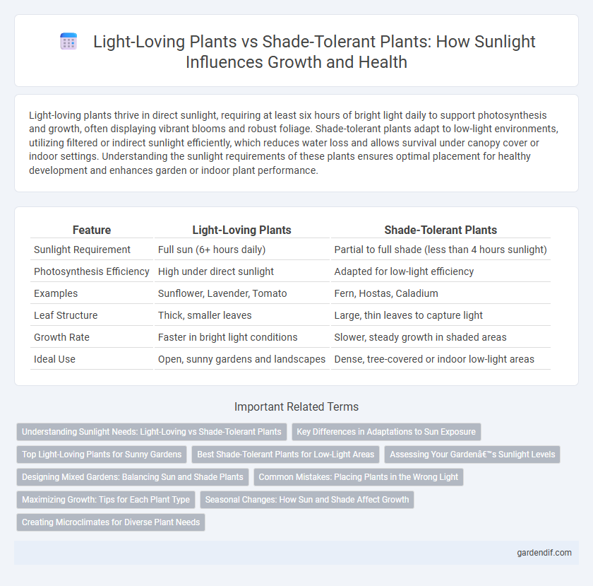Light-Loving Plants vs Shade-Tolerant Plants: How Sunlight Influences Growth and Health