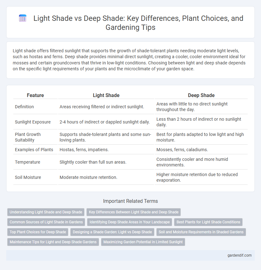 Light Shade vs Deep Shade: Key Differences, Plant Choices, and Gardening Tips