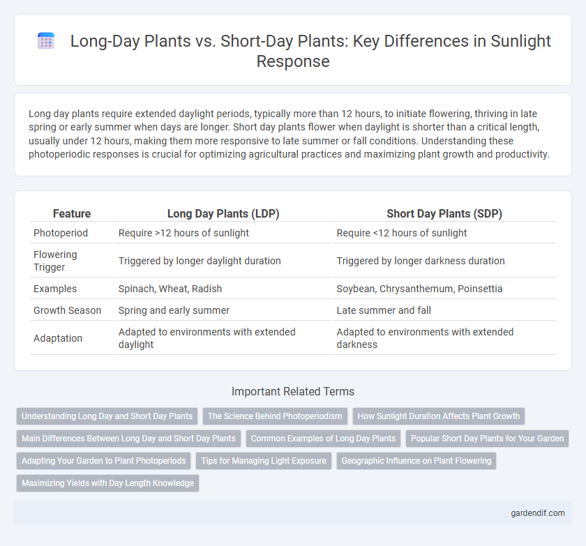 Long-Day Plants vs. Short-Day Plants: Key Differences in Sunlight Response