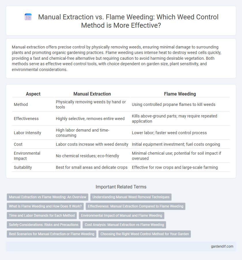 Manual Extraction vs. Flame Weeding: Which Weed Control Method is More Effective?