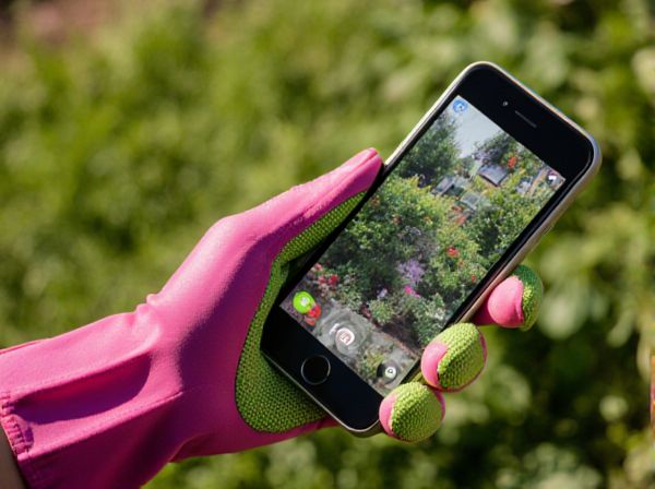 Misting vs. Bottom Heat in Plant Propagation: Which Method Yields Better Results?
