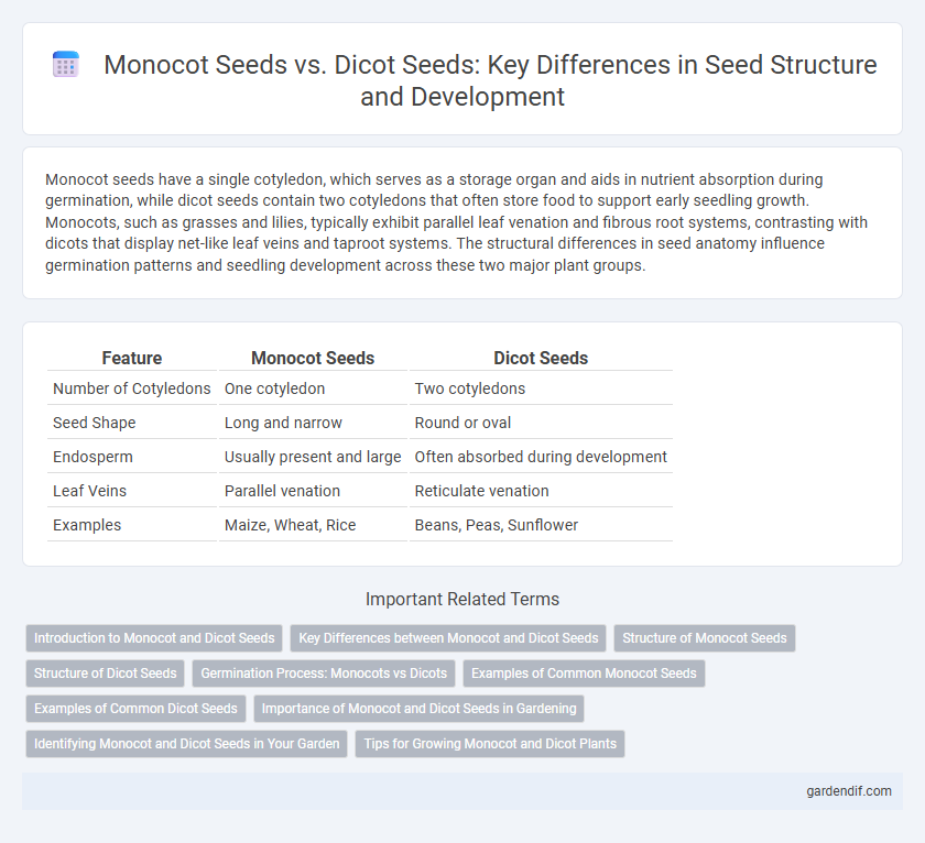 Monocot Seeds vs. Dicot Seeds: Key Differences in Seed Structure and Development
