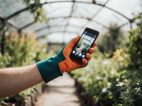 Monolithic vs. Modular Greenhouses: Which Greenhouse Design Is Best for You?