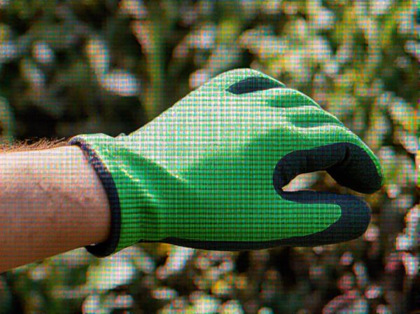 Mosaic Virus vs. Ringspot Disease: Key Differences, Symptoms, and Management