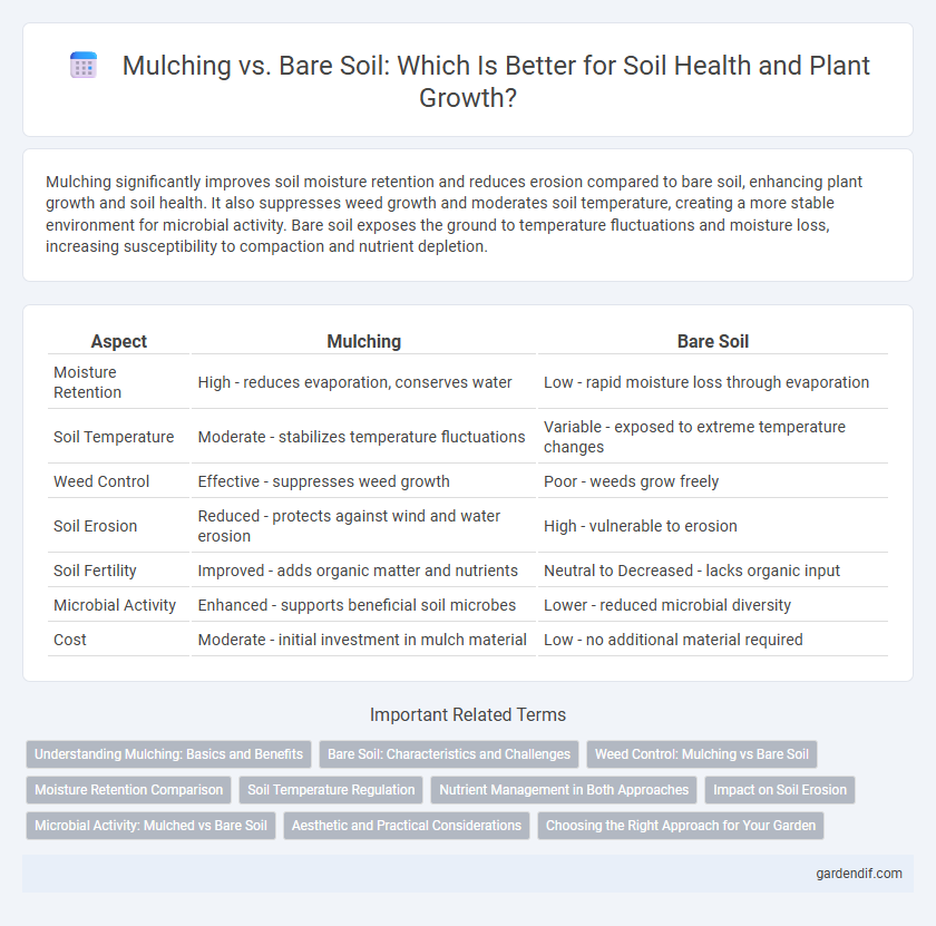 Mulching vs. Bare Soil: Which Is Better for Soil Health and Plant Growth?